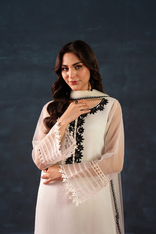 S-127 White