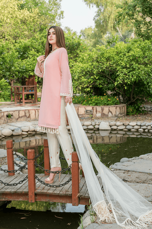 Z-244 - KHUDA BAKSH CREATIONS